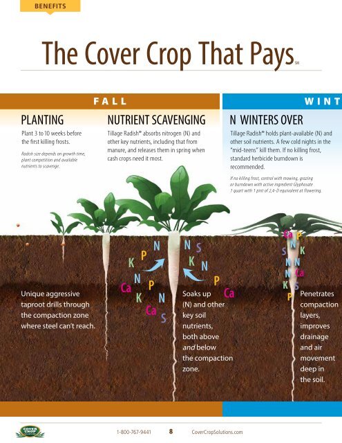 Tillage RadishÂ® Resource Guide - Cover Crop Solutions