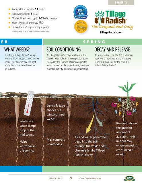 Tillage RadishÂ® Resource Guide - Cover Crop Solutions