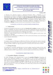 SynthÃ¨se du rapport - Centre EuropÃ©en de la Consommation