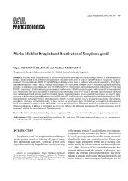 Murine Model of Drug-induced Reactivation of Toxoplasma gondii