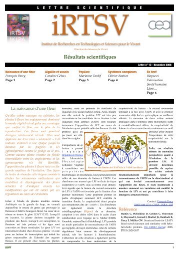 nÂ°13 - Direction des sciences du vivant - CEA