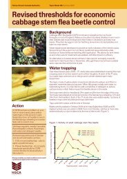 Revised thresholds for economic cabbage stem flea beetle ... - HGCA
