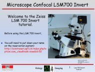 Microscope Confocal LSM700 Invert - EPFL