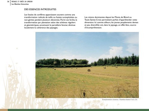 Le plateau de la Courtine - CRPF Limousin