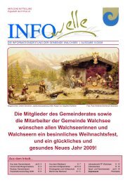 INFOwelle IV/2008 (1,81 MB) - Gemeinde Walchsee - Land Tirol