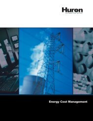 Energy Cost Management - Huron Consulting Group