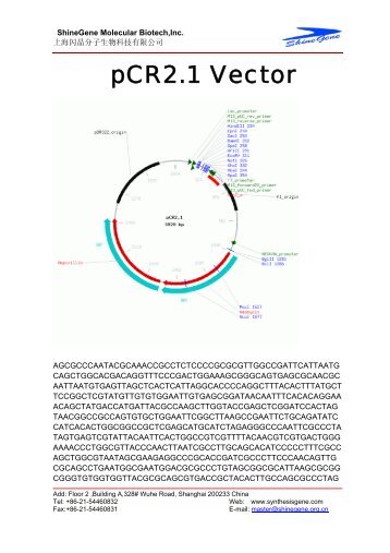 pCR2.1 Vector - Gene Synthesis
