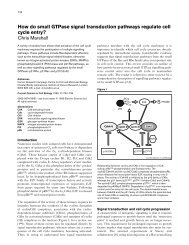 How do small GTPase signal transduction pathways regulate cell ...