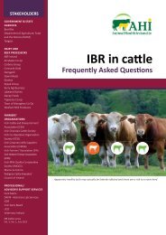 IBR - FAQs - Animal Health Ireland