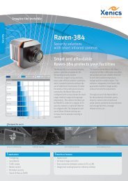 Raven-384 - XenICs