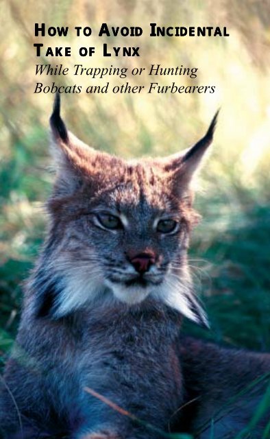 Lynx avoidance [PDF] - Wisconsin Department of Natural Resources