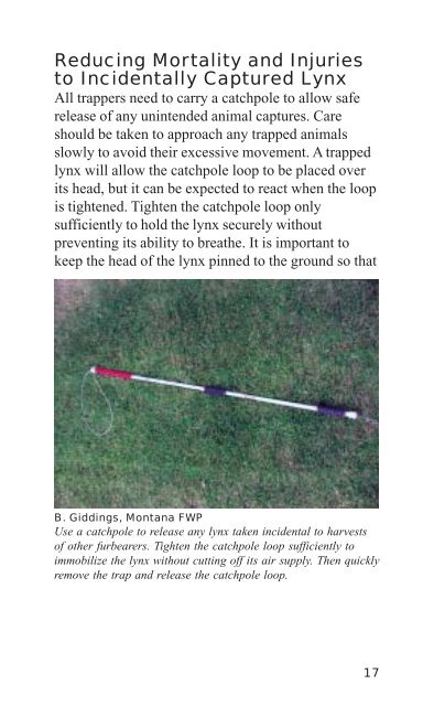 Lynx avoidance [PDF] - Wisconsin Department of Natural Resources