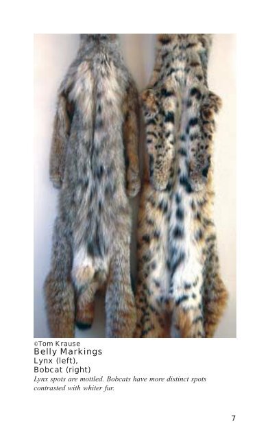 Lynx avoidance [PDF] - Wisconsin Department of Natural Resources