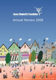 Annual Review 2008 - QEF