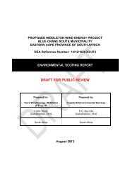 Proposed Middleton Wind Farm _Draft Scoping Report_Released.pdf