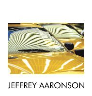 JEFFREY AARONSON - Steiner Graphics