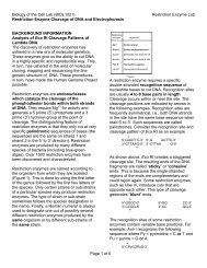 Restriction Enzyme Cleavage of DNA and Electrophoresis