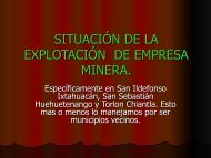 SITUACIÃN DE LA EXPLOTACIÃN DE EMPRESA MINERA.