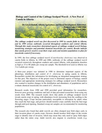 Biology and Control of the Cabbage Seedpod Weevil ... - SaskCanola