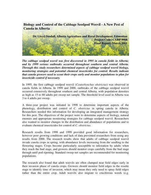 Biology and Control of the Cabbage Seedpod Weevil ... - SaskCanola