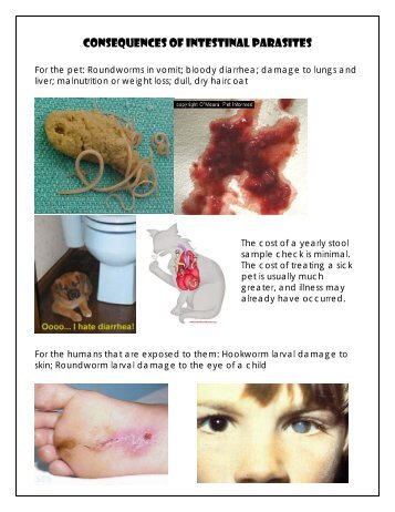 Consequences of intestinal parasites