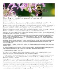 Steep drop in 4 bumble bee species is a - Department of Entomology