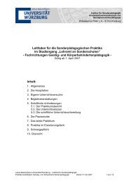 Praktikumsleitfaden alte Studienordnung - Lehrstuhl fÃ¼r ...