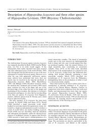 Description of Hippopodina feegeensis and three other species of ...