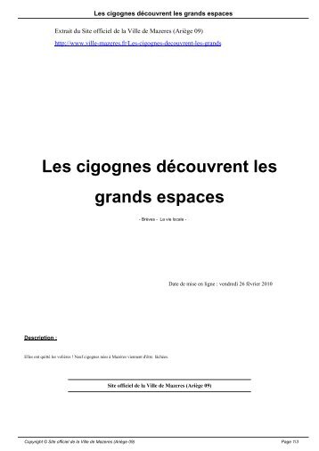 Les cigognes découvrent les grands espaces - Ville de Mazeres