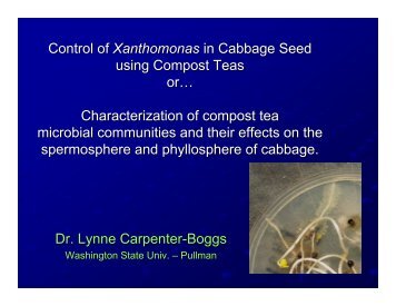 Control of Xanthomonas in Cabbage Seed using Compost Teas or ...