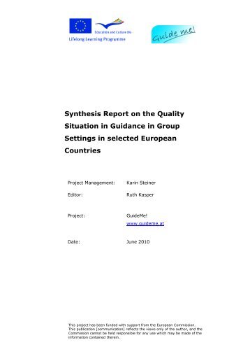 Synthesis Report on the Quality Situation in Guidance in Group ...