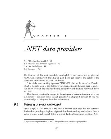 .NET data providers