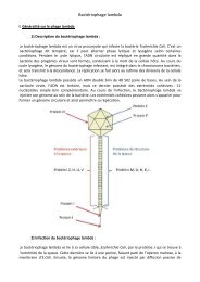 Phage lambda - 2009 iGEM