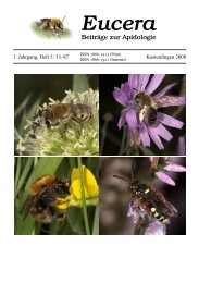 Rote Liste der Bienen Deutschlands - Wildbienen