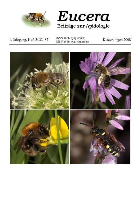 Rote Liste der Bienen Deutschlands - Wildbienen