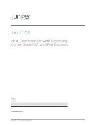 Next-Generation Network Addressing Carrier-Grade NAT and IPv6 ...