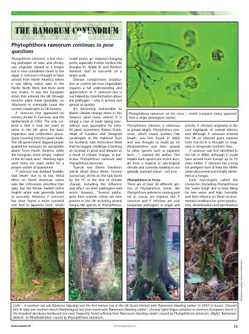 (Phytophthora) Ramorum Conundrum - Forestry Journal