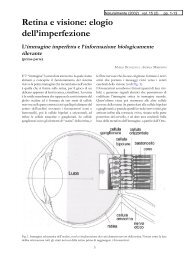 Retina e visione 1 - Anisn