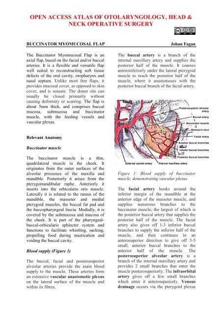 Buccinator myomucosal flap - Vula - University of Cape Town