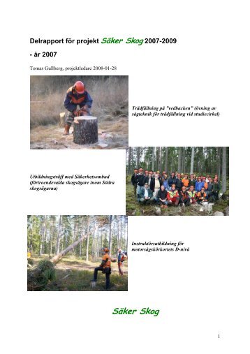 Verksamhetsrapport 2007 (PDF) - SÃ¤ker Skog