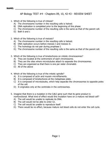chapter 17 ap review questions Our apush quizzes will help you prepare for each apush quiz has 15-20 questions and reviews information and advanced placement® and ap® are registered. chapter 17 ap review questions Our apush quizzes will help you prepare for each apush quiz has 15-20 questions and reviews information and advanced placement® and ap® are registered.