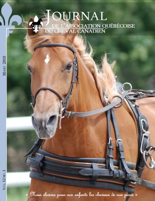 Volume 12-1 Mars 2010 - Association québécoise du cheval canadien
