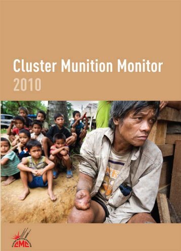 Download PDF - Landmine and Cluster Munition Monitor