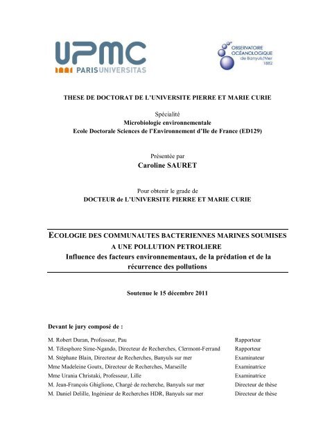 Les qualités des différents sels marins pour la santé - Vision Times