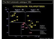 (B) (A) The Moll Cytokeratin catalogue 1982 - NordiQC