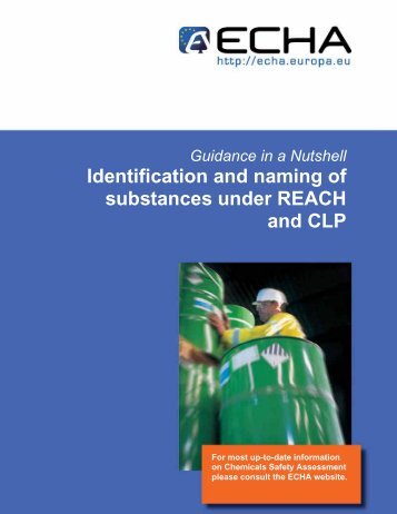 Identification and naming of substances under ... - ECHA - Europa