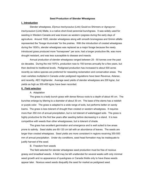 Seed Production of Slender Wheatgrass I. Introduction Slender ...