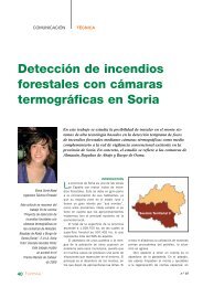 detección de incendios forestales con cámaras termográficas en Soria