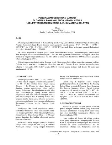 pengkajian cekungan gambut di daerah rawang lebok hitam