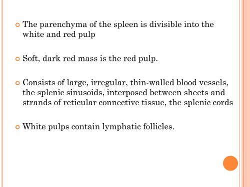 group 4 SPLEEN - UMK CARNIVORES 3